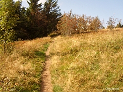 Petite ascension en bordure de forêt